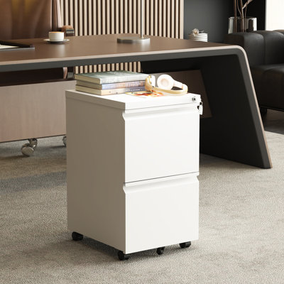 2 Drawer Mobile File Cabinet with Lock for Legal/Letter/A4 Size - Fully Assembled Except Wheels by Inbox Zero