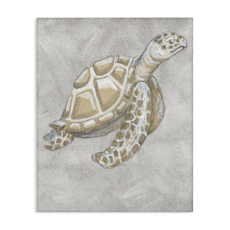 Dessin de la tortue grise, conception de Patti Bishop, H 20 po x l 16 po