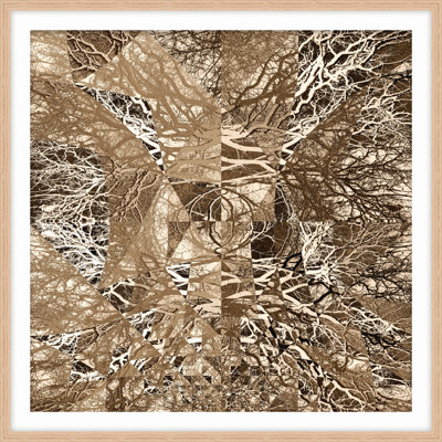 A Forest In Echo 1 Print
