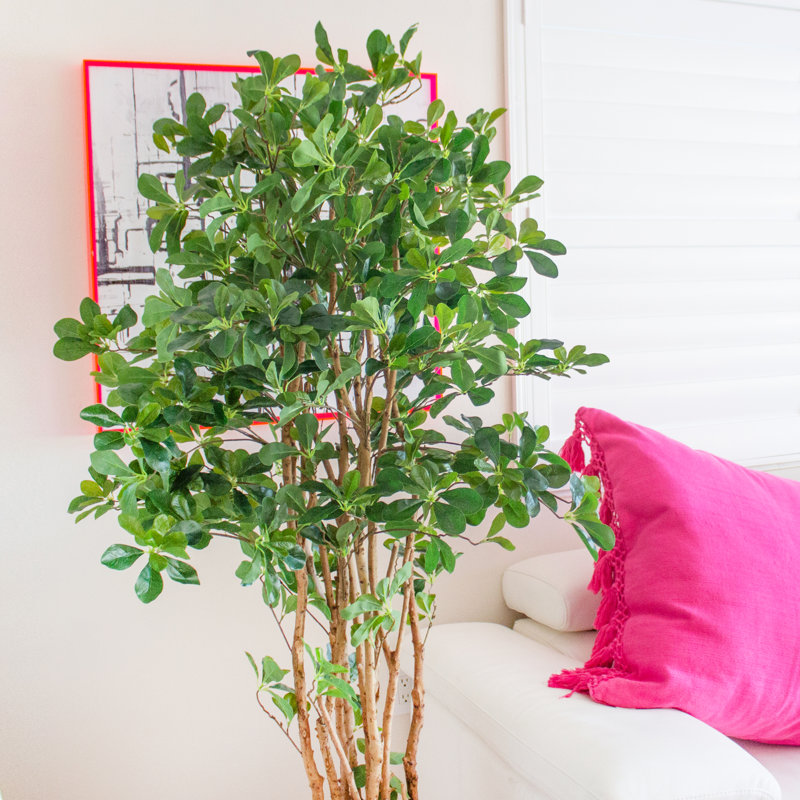 72'' Faux Olive Tree Tree in Pot
