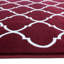 Tapis rouge-2024360128