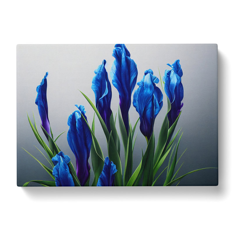 Royal Iris - Wrapped Canvas Print, 35cm H x 50cm W x 3cm D