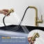 Robinet de bar moderne à poignée simple avec douchette extractible, robinet de préparation pour eau froide et chaude-125139773
