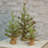 2' Pine Christmas Tree