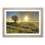 Landscape Lone Tree Sunrise Framed Print-18868437