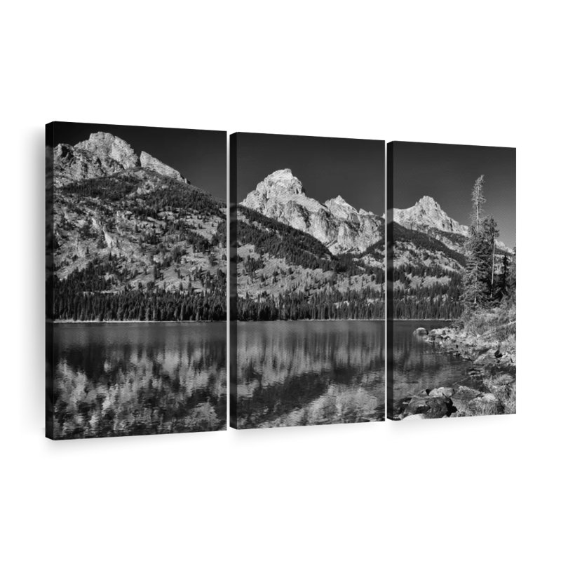 «Scenic Grand Teton», 3 pièces, H 24 po x l 38 po x P 1,25 po