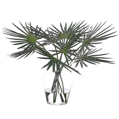 Fan Palm, Glass Vase, 30wx26dx21h