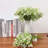 Madrid Baby's Breath Centerpiece-1491479432