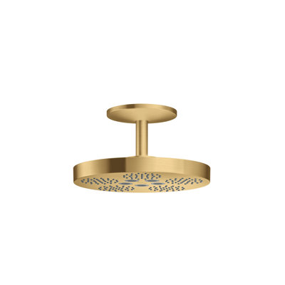 One Rain Fixed Shower Head