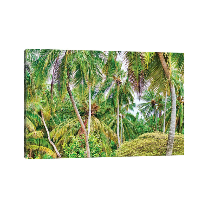 Palm Paradise by Mark Paulda - Print on Canvas, Wrapped Canvas, 20.32cm H x 30.48cm W x 1.91cm D