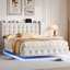 Upholstered Bed