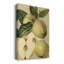 «Apple Harvest II», impression sur toile tendue-344195121