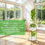 2 Tier Plant Stand