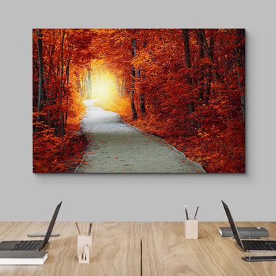 Vibrant orange, automne, forêt, chemin, nature, nature - photographie