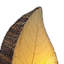 Leaflet Nouveauté lumière 14 "-18369487