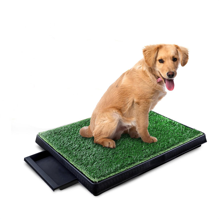 https://assets.wfcdn.com/im/56245261/resize-h755-w755%5Ecompr-r85/2555/255523756/Grass+Pad+For+Dogs+%5B25x20+Inches%5D+-+Hygienic+Dog+Potty+Grass+With+Tray+-+Washable+Artificial+Turf+With+Drainage+Holes+And+A+Large+Tray+-+Grass+For+Dogs+To+Pee+And+Poop+On.jpg