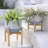 Tierney Pot Planter-1086492969-1087343026