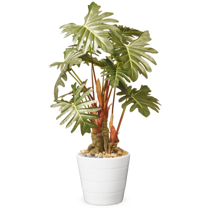 Fleur de philodendron 21 po