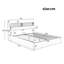 Bakki PU Upholstered Hydraulic Bed With Concealed Headboard Storage, Bed Box Storage-1636888782-1618607262