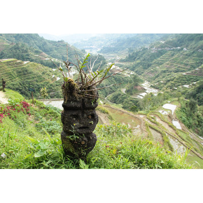 " Filipino Ifugao Tribal "