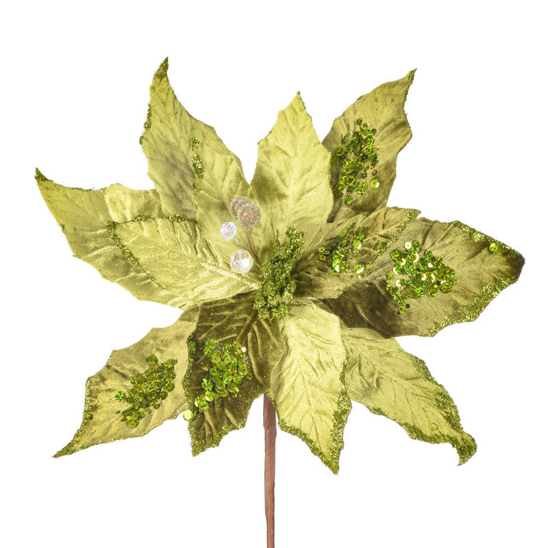 Tige de poinsettia, Chaux