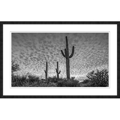 Three Cacti Print by Christopher Kennedy