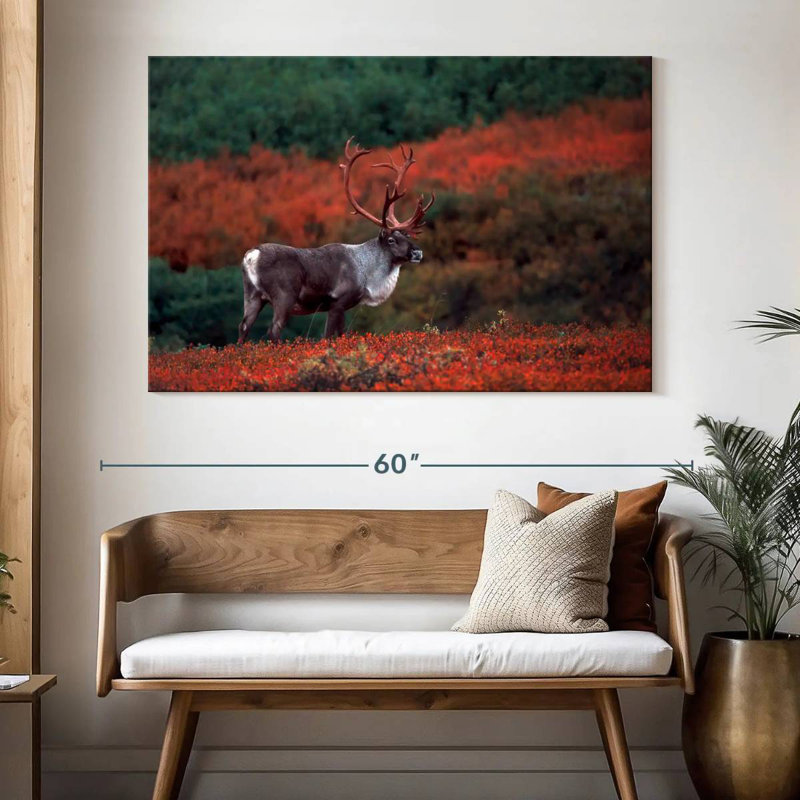 Caribou d'automne Brampt, H 34 po x l 51 po