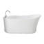 Eryn 60" Freestanding Soaking Bathtub-1673349469