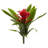 Bromeliad Bush Silk Flowers-24745657