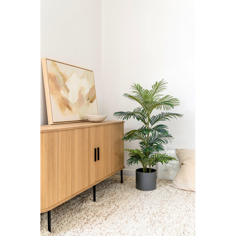 Palmier 47 po
