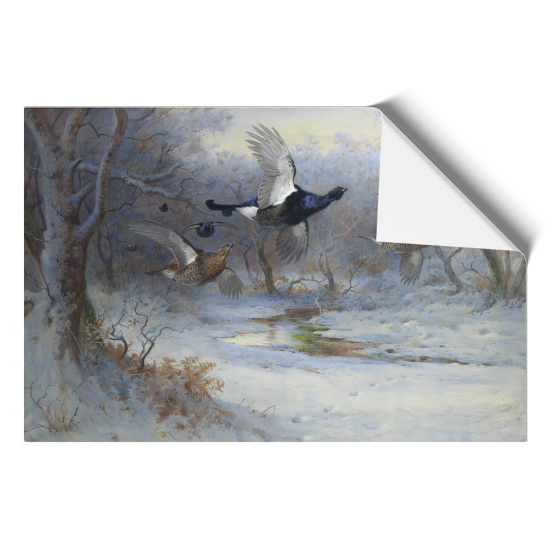 Blackcock And Grouse In Flight by Archibald Thorburn - No Frame Painting, 42cm H x 59cm W x 0.1cm D