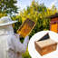 Boite de 10 ruches Langstoth Deep Brood