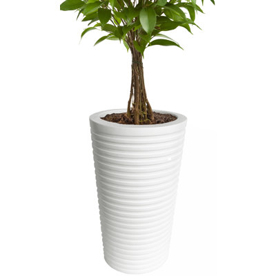 Whobrey Pot Planter