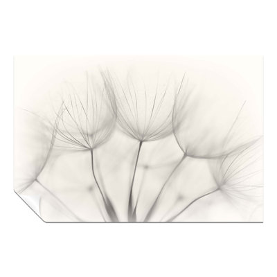 Soft Dandelion Flowers Close Up - No Frame Print