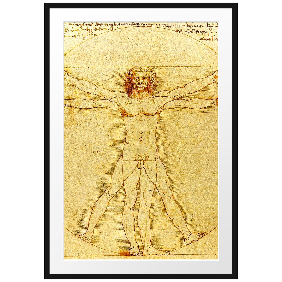 Gerahmter Kunstdruck Vitruvian Man von Leonardo Da Vinci