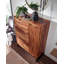 24 Pair Shoe Storage Cabinet
