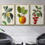 Garden Gems I, ensemble de 3 pièces encadrées sur toile-606194155-606194157