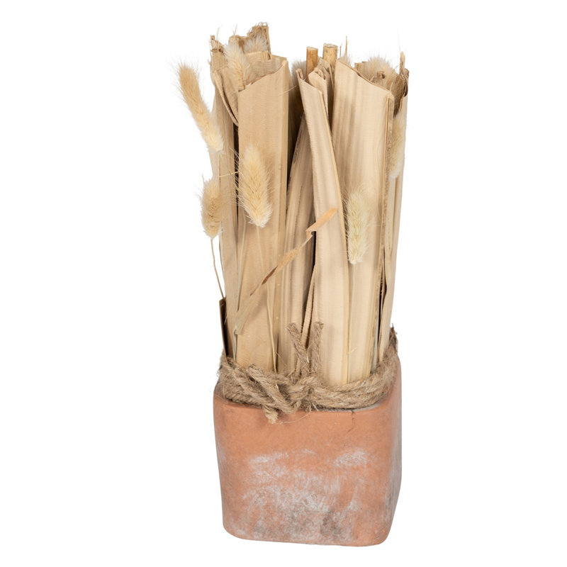 23cm Faux Fox Tail Grass in Terracotta Pot