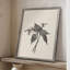 Impression florale vintage encadrée CLxx - bois massif-612399352