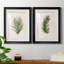 Palm Botanical I - ensemble de 2 impressions-1280204983-1287904959-1211584034