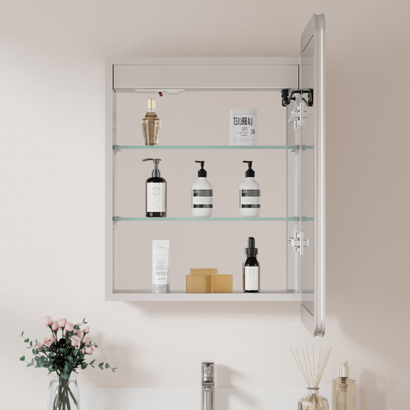 Armoire à pharmacie encastrée / à fixation en saillie à cadre arrondi en aluminium argenté l 20 po x H 28 po Cynethia, Oui
