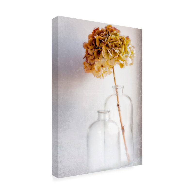 Blaise Montfort  Hydrangea Canvas Art, H 32 po x l 22 po x P 2 po