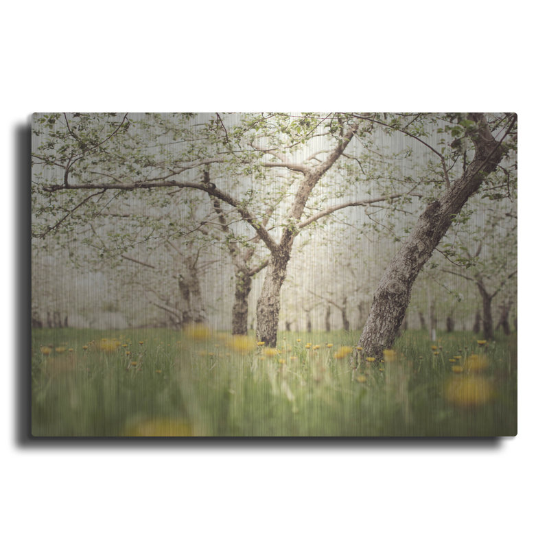 «Quiet Orchard» par Irene ThisCocki, H 16 po x l 24 po