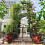 Arche de jardin en métal avec barrière 79,5 po de large x 86,6 po de hauteur pour plantes grimpantes supportant une arche de rose noire