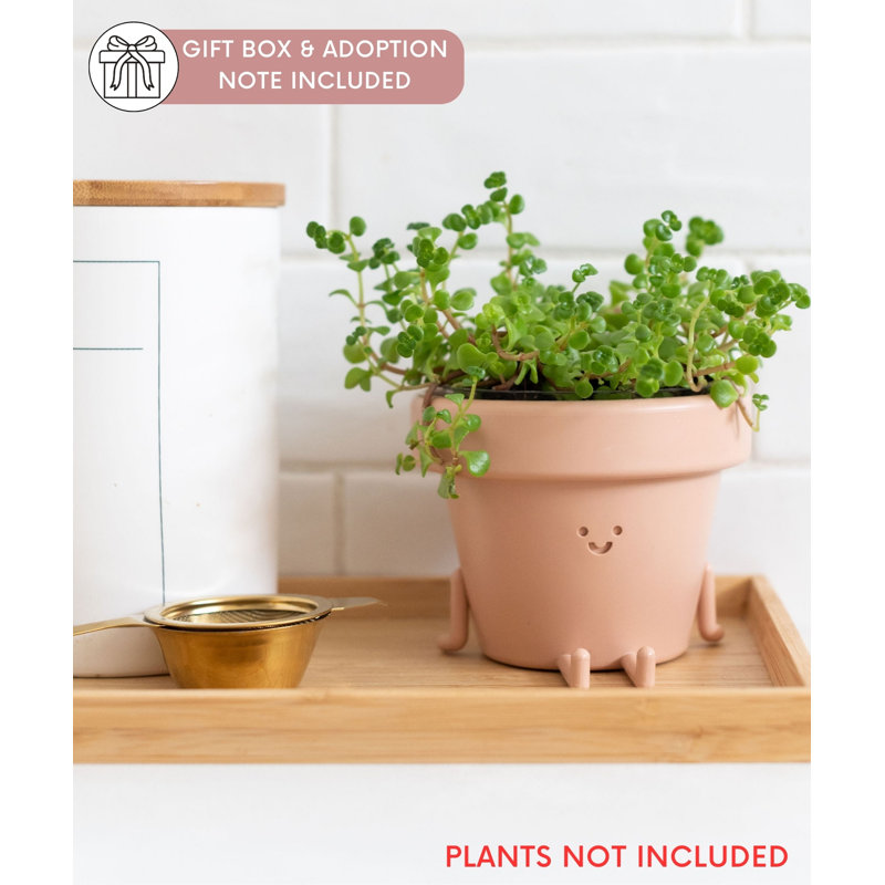 Cute Pots Pot Planter