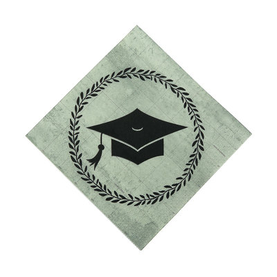 Partlow Paper No Pattern Napkins