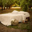 Sheet Set-574121697-574121699