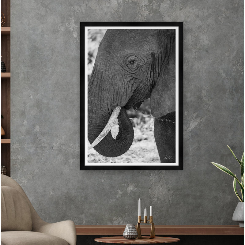 «African Elephant» par Tim Klein - Photographie avec cadre