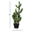 Cactus vert en pot 31 po
