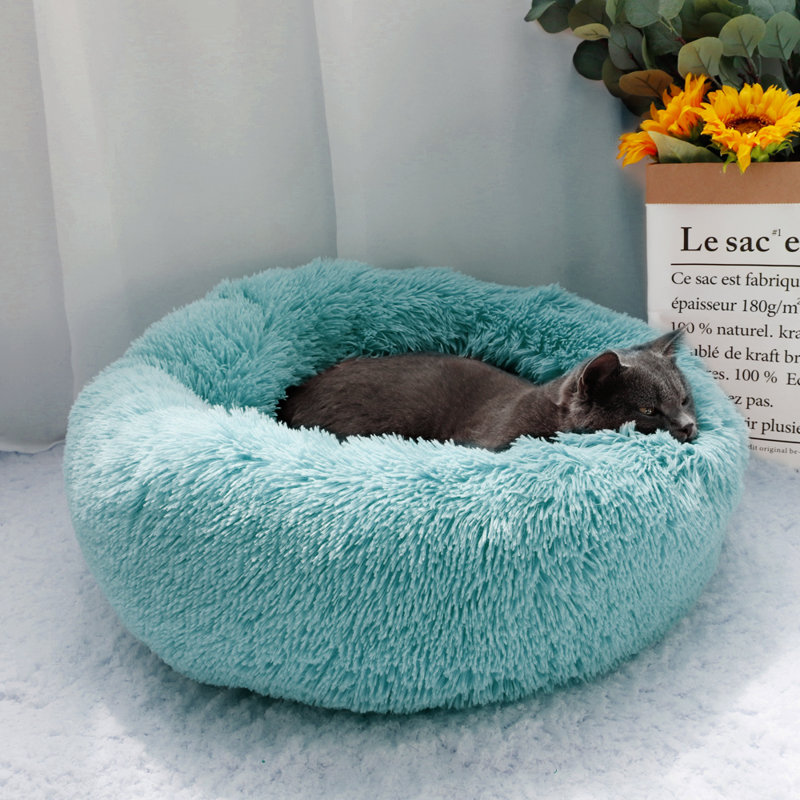 Tapis pour animal de compagnie Cecilla, Très petit (l 16 po x P 16 po x H 4 po), Gris foncé
